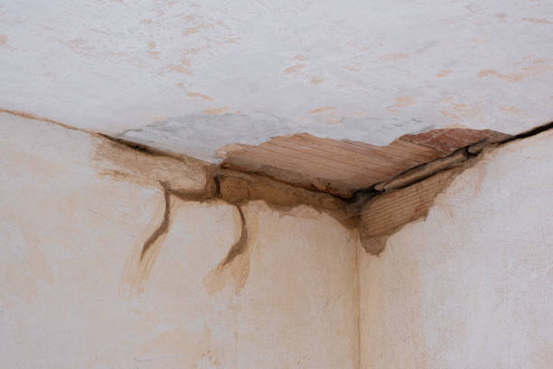 Best Residential water damage restoration  in Mulberry, AR