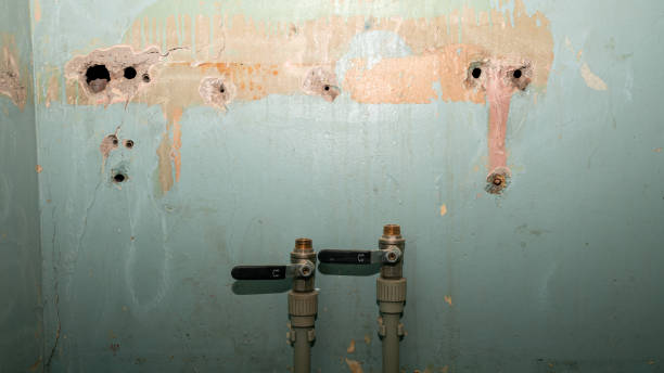 Best Local water damage restoration  in Mulberry, AR