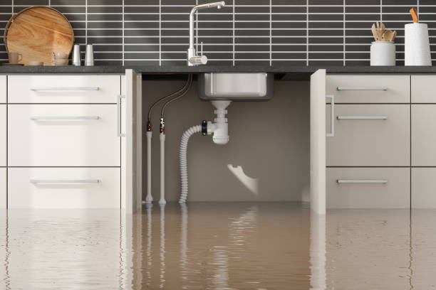 Best Flooded house restoration  in Mulberry, AR