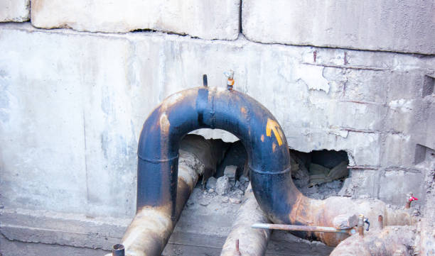 Best Mold removal after water damage  in Mulberry, AR