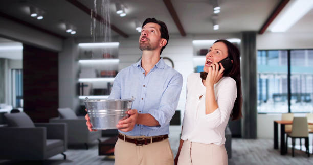 Best Basement water damage restoration  in Mulberry, AR